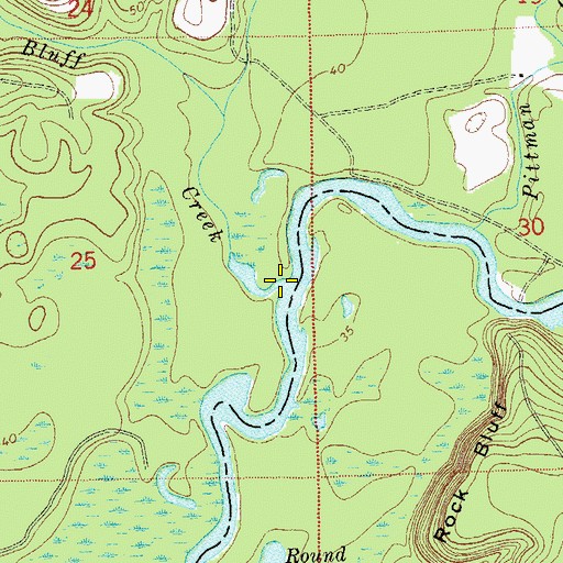 Topographic Map of Bluff Creek, FL