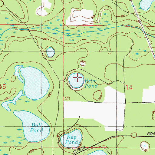 Topographic Map of Brim Pond, FL