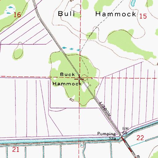 Topographic Map of Buck Hammock, FL