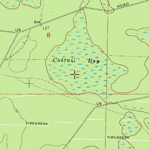 Topographic Map of Cattail Bay, FL