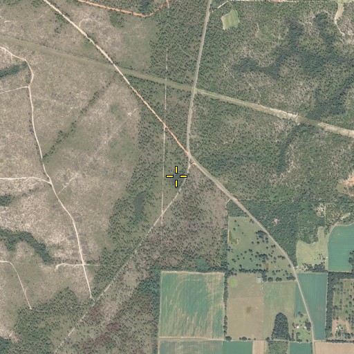Aerial/Satellite Image of Danley Pond, FL