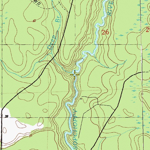 Topographic Map of Deep Branch, FL