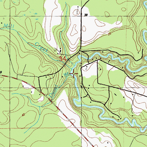 Topographic Map of Duval Branch, FL