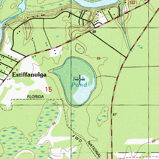 Topographic Map of Fish Pond, FL