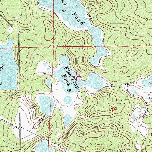 Topographic Map of Fish Trap Pond, FL