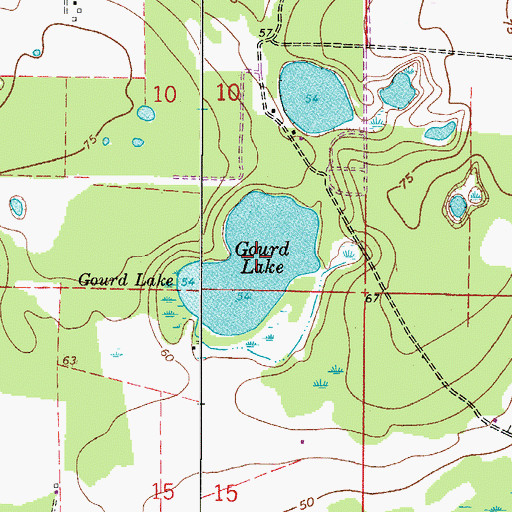 Topographic Map of Gourd Lake, FL