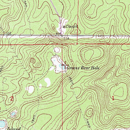 Topographic Map of Greens Bear Hole, FL