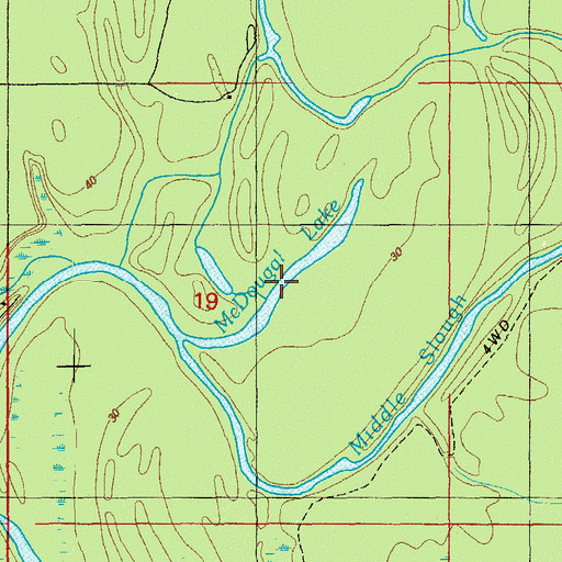 Topographic Map of McDougal Lake, FL