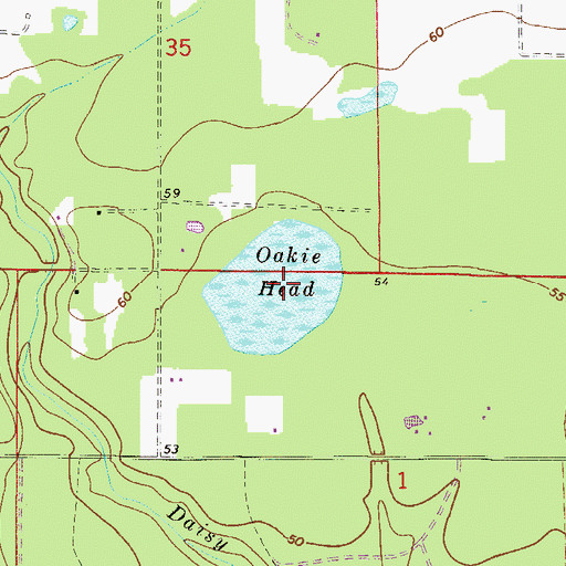 Topographic Map of Oakie Head, FL