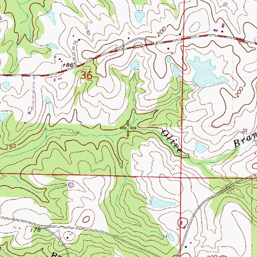Topographic Map of Olive Branch, FL
