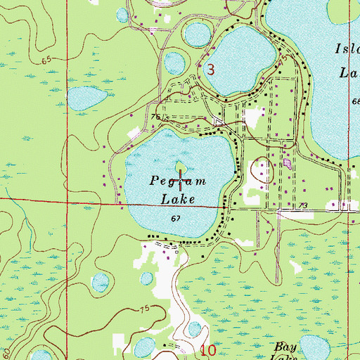 Topographic Map of Pegram Lake, FL