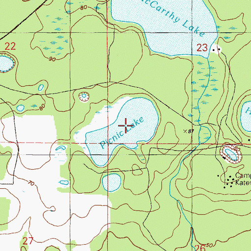 Topographic Map of Picnic Lake, FL