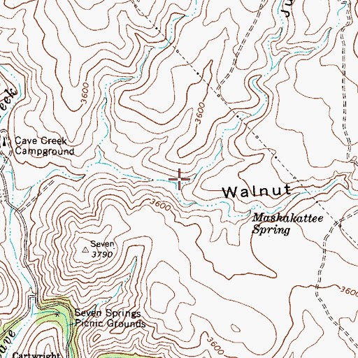 Topographic Map of Juans Canyon, AZ