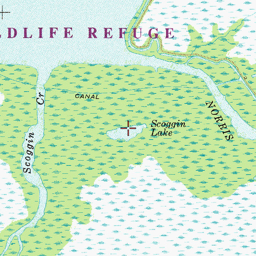 Topographic Map of Scoggin Lake, FL
