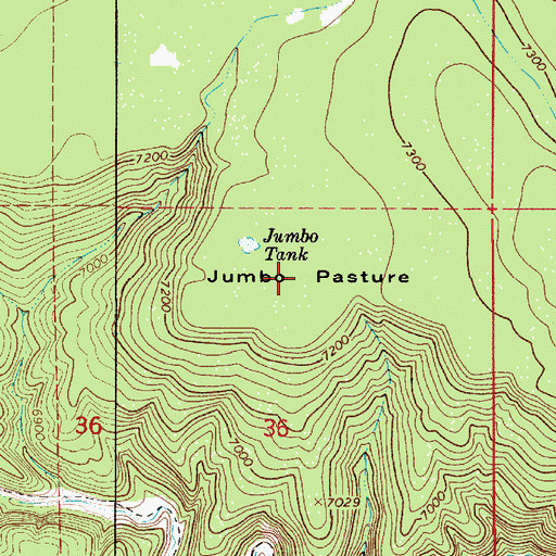 Topographic Map of Jumbo Pasture, AZ