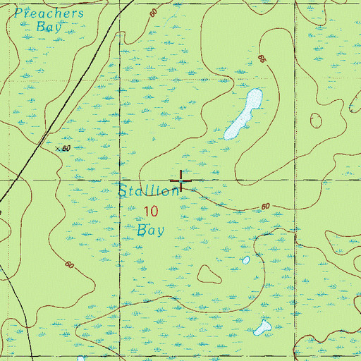 Topographic Map of Stallion Bay, FL