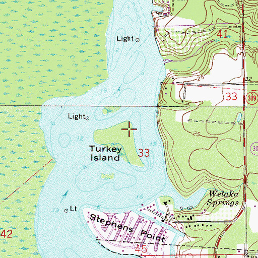 Topographic Map of Turkey Island, FL