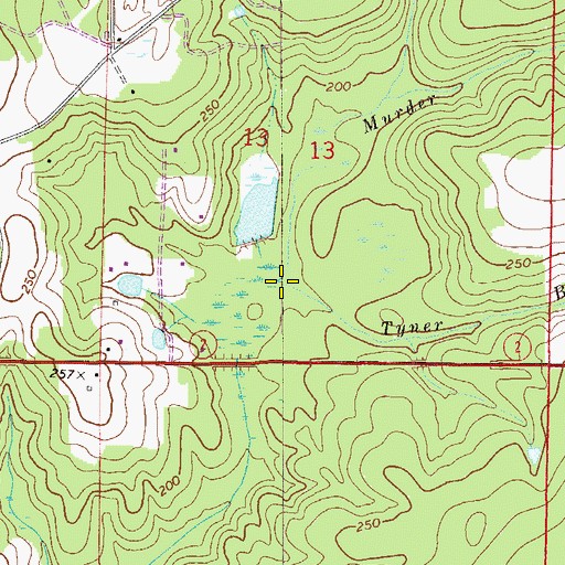 Topographic Map of Tyner Branch, FL