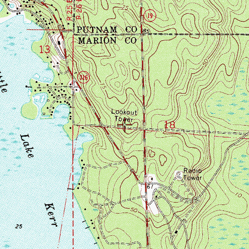 Topographic Map of Salt Springs Tower (historical), FL
