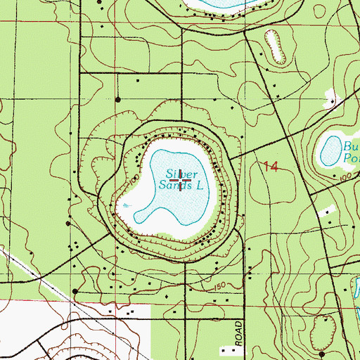 Topographic Map of Silver Sand Lake, FL