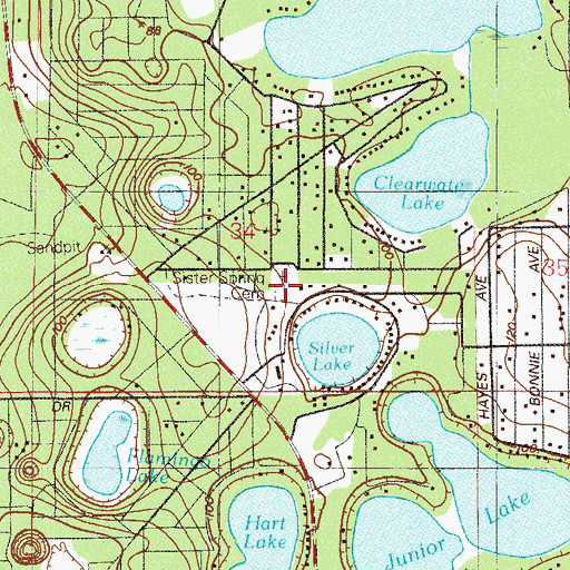 Topographic Map of Sister Spring Cemetery, FL