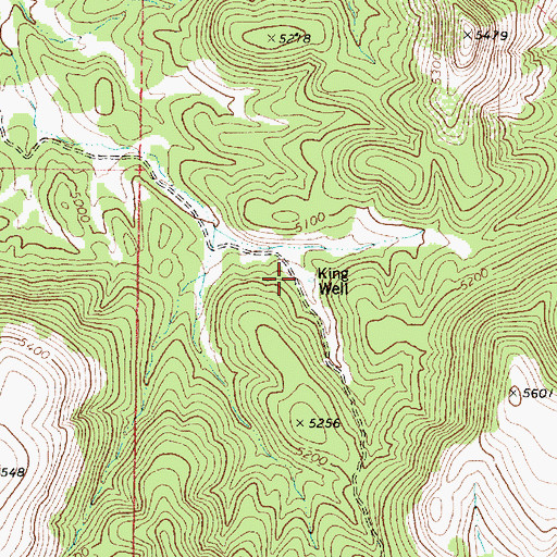 Topographic Map of King Well, AZ