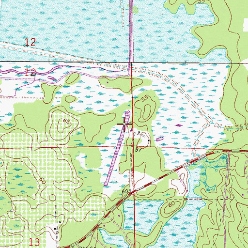 Topographic Map of Paniola Air Ranch Airport, FL