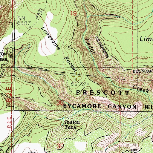 Topographic Map of Lonesome Pocket, AZ