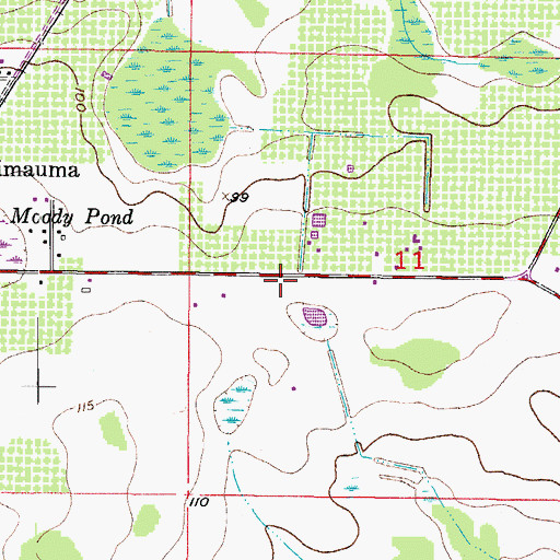 Topographic Map of Wimauma Air Park, FL