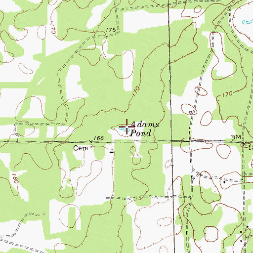 Topographic Map of Adams Pond, GA