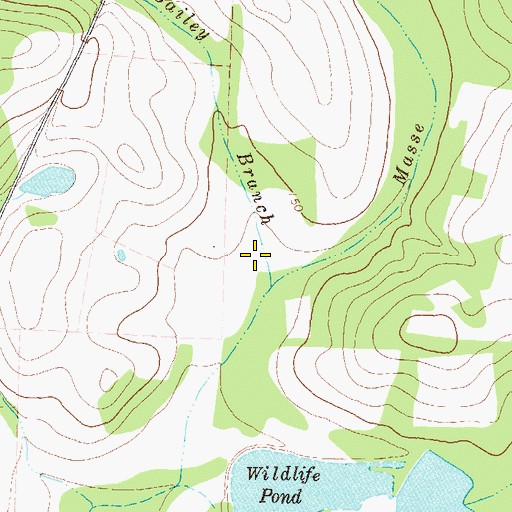 Topographic Map of Bailey Branch, GA