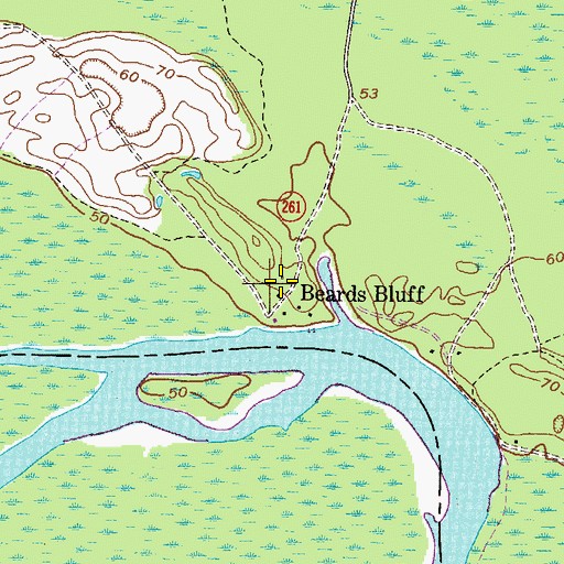 Topographic Map of Beards Bluff, GA