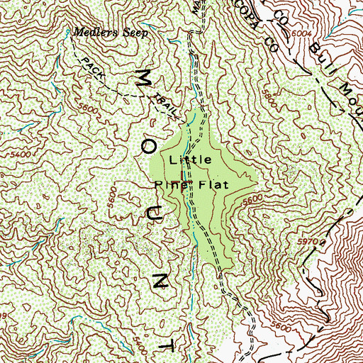 Topographic Map of Little Pine Flat, AZ