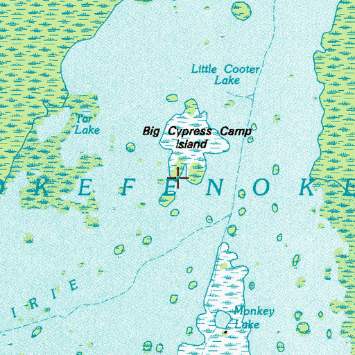 Topographic Map of Big Cypress Camp Island, GA