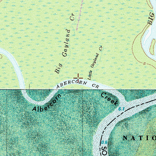 Topographic Map of Big Gayland Creek, GA