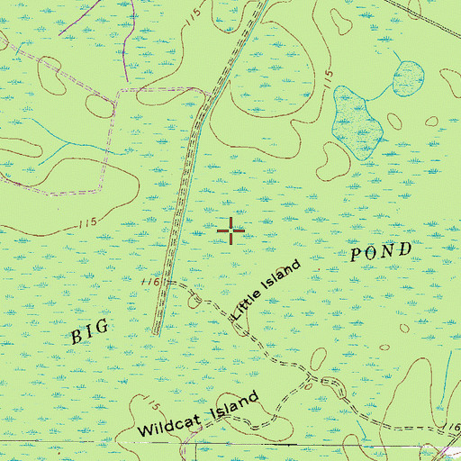 Topographic Map of Big Pond, GA