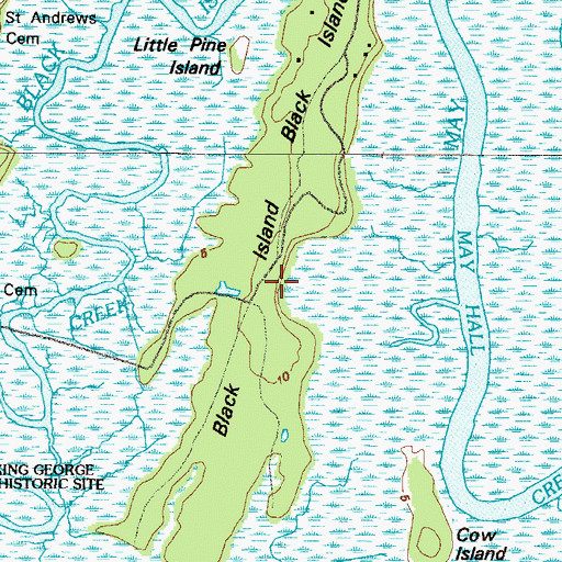 Topographic Map of Black Island, GA