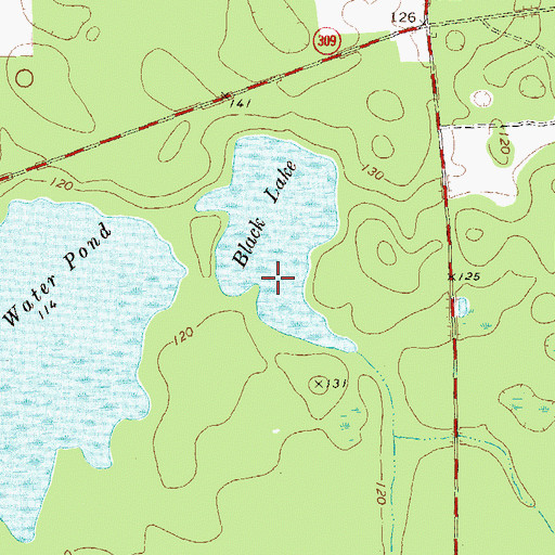 Topographic Map of Black Lake, GA