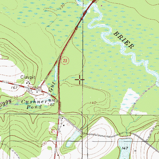 Topographic Map of Boggy Gut, GA
