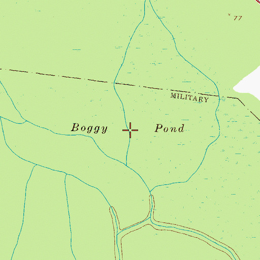 Topographic Map of Boggy Pond, GA