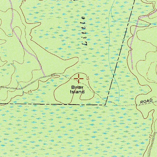 Topographic Map of Briar Island, GA