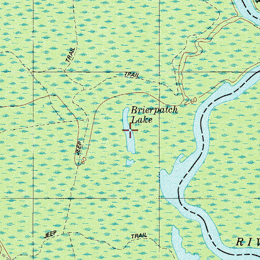 Topographic Map of Brierpatch Lake, GA