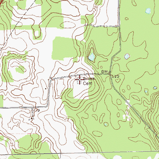Topographic Map of Brock Cemetery, GA