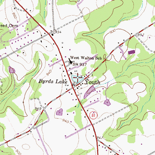 Topographic Map of Byrds Lake, GA