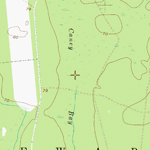 Topographic Map of Caney Bay, GA