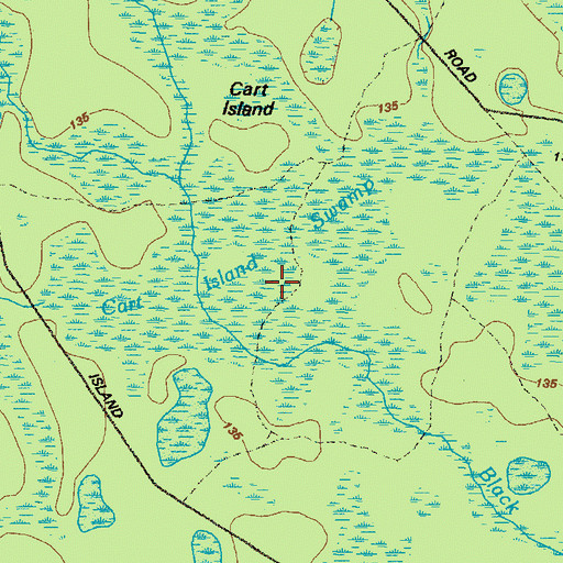 Topographic Map of Cart Island Swamp, GA