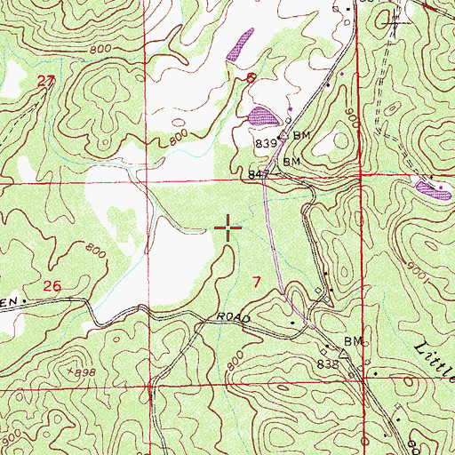Topographic Map of Cedar Branch, GA