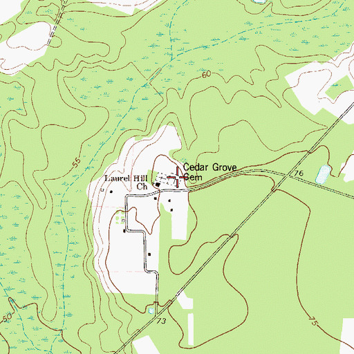 Topographic Map of Cedar Grove Cemetery, GA