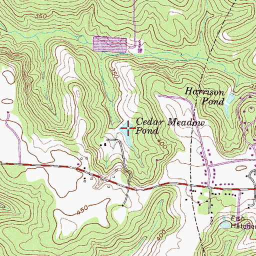 Topographic Map of Cedar Meadow Pond, GA