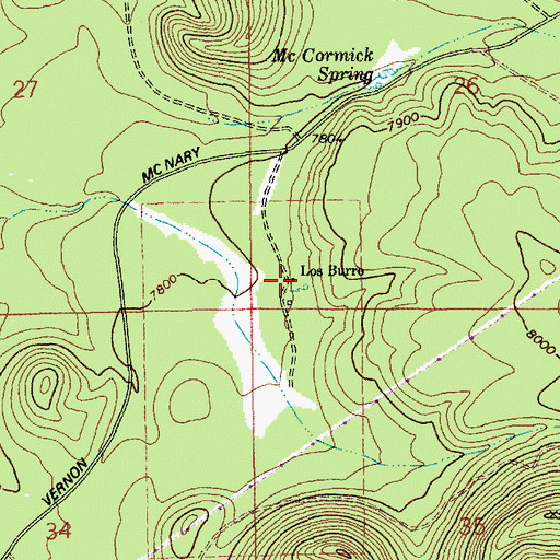 Topographic Map of Los Burros, AZ